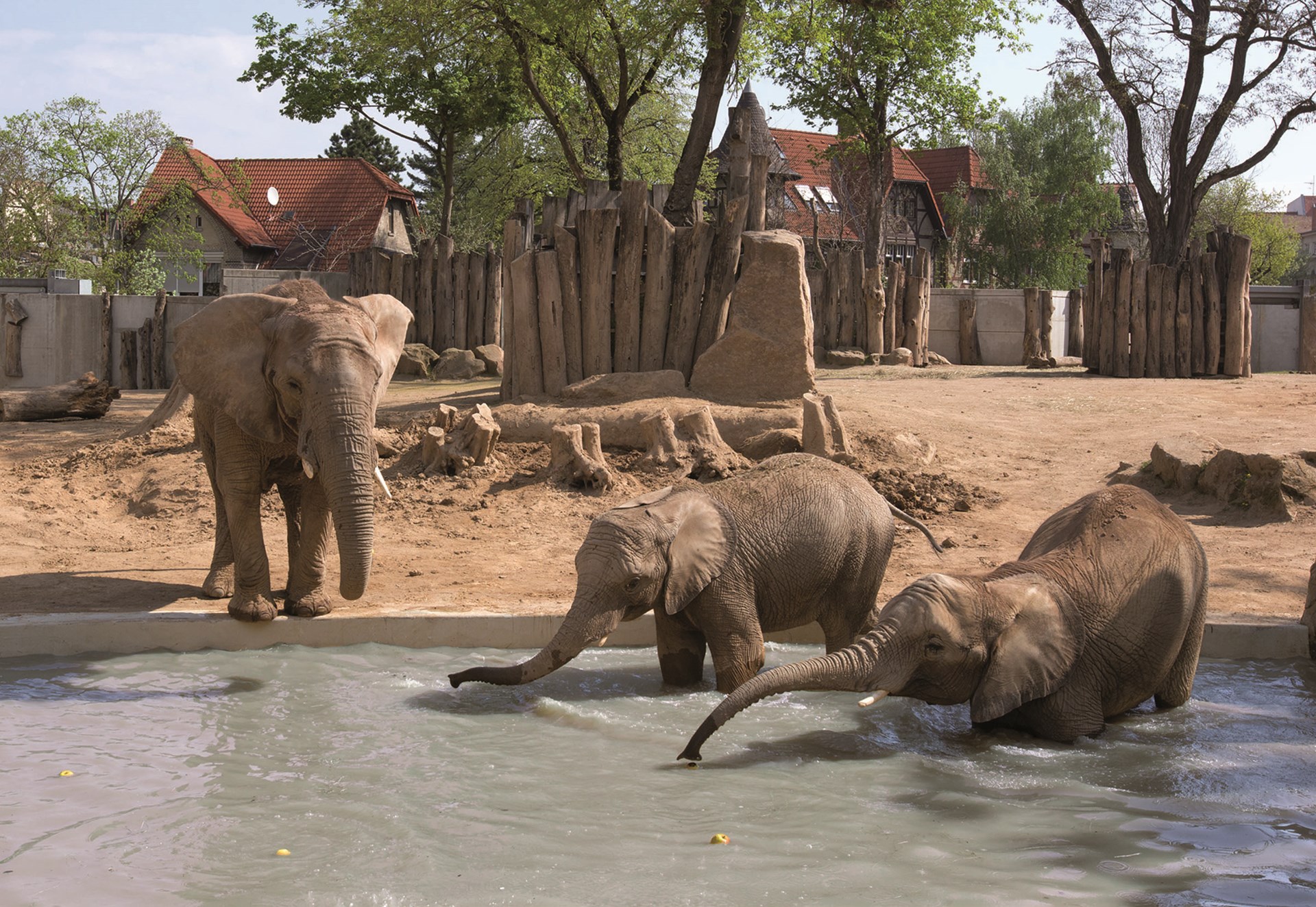 Zoo Halle Elefantenanlage des Zoos in Halle (Saale)