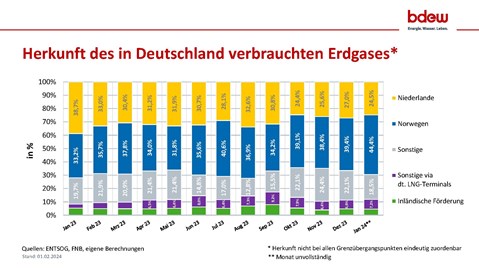 Herkunft des in Deutschland verbrauchten Erdgas